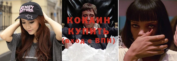 мяу мяу мука Бородино