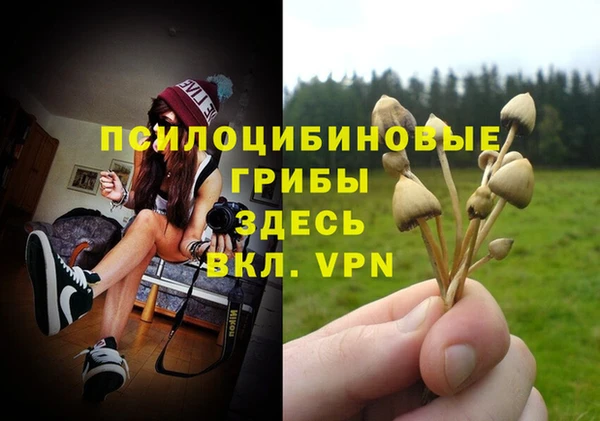 ALPHA PVP Бронницы