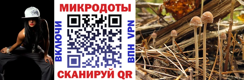 Псилоцибиновые грибы прущие грибы  где купить наркоту  Славск 